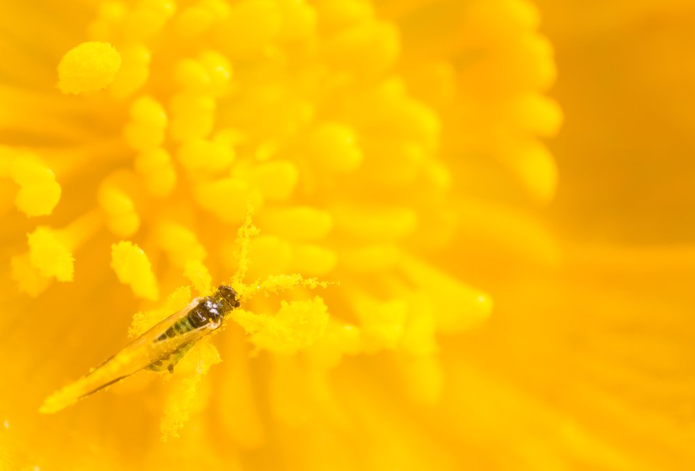 Photograph by Рашид Хайданов