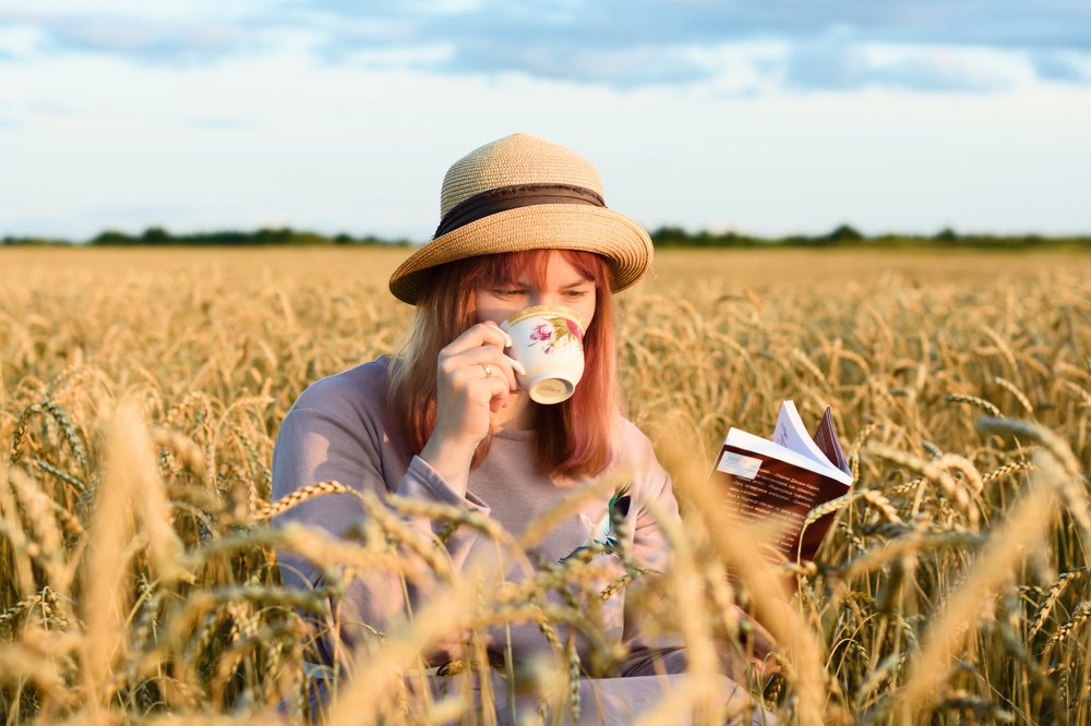 Пикник в поле