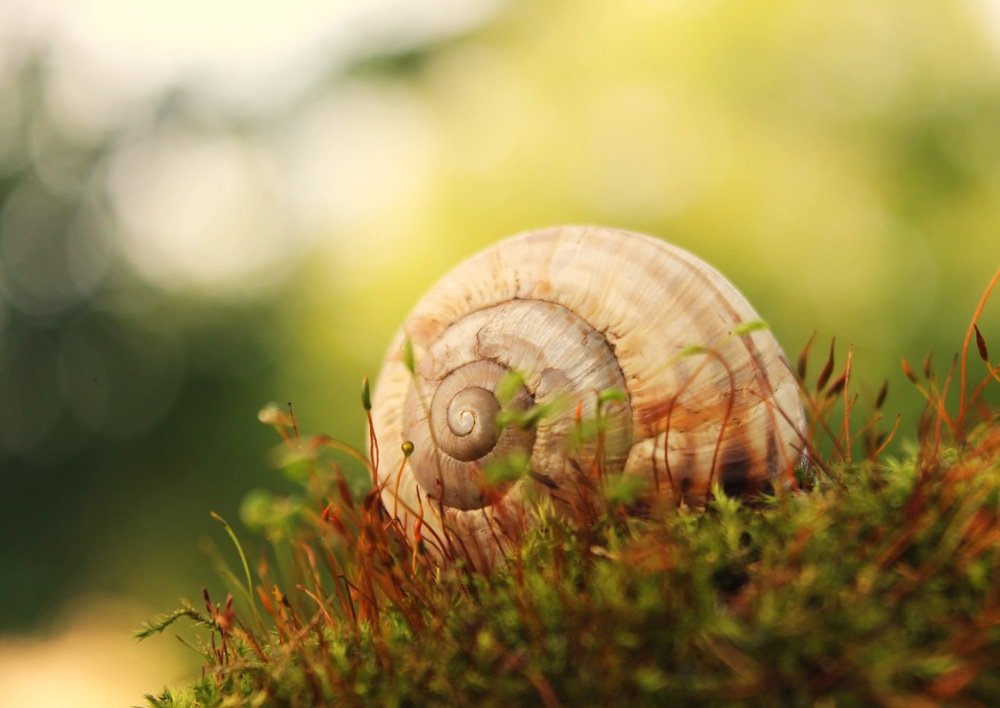 Photograph by Angela Skoro