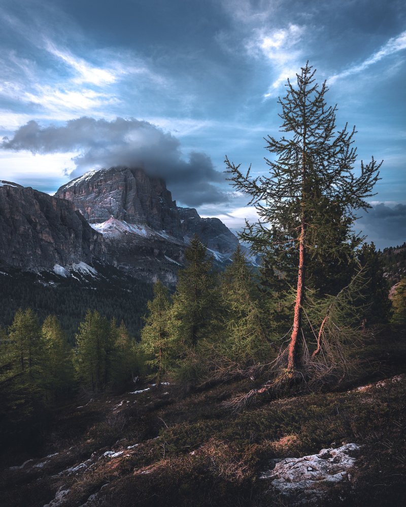 Photograph by Сергей Быков