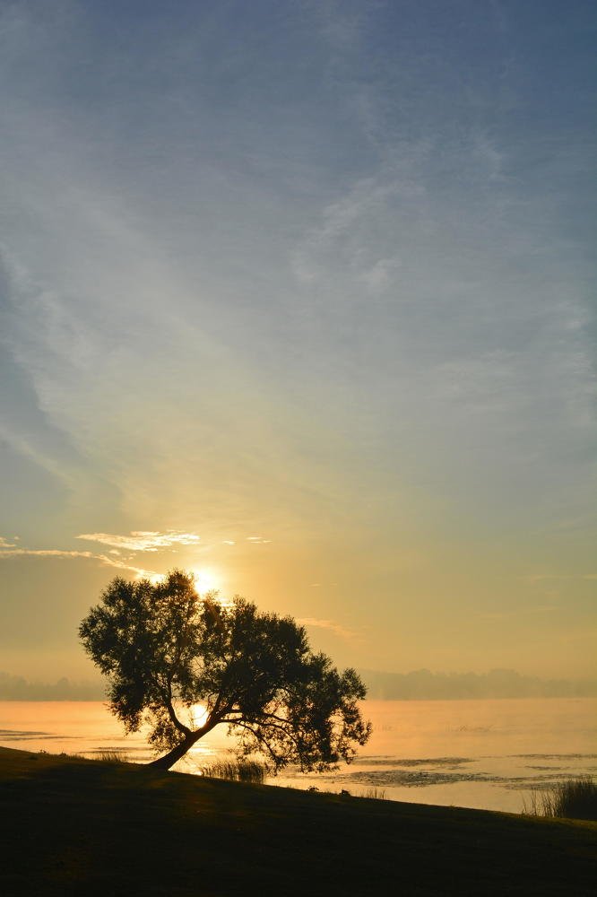 Теплом окутанный