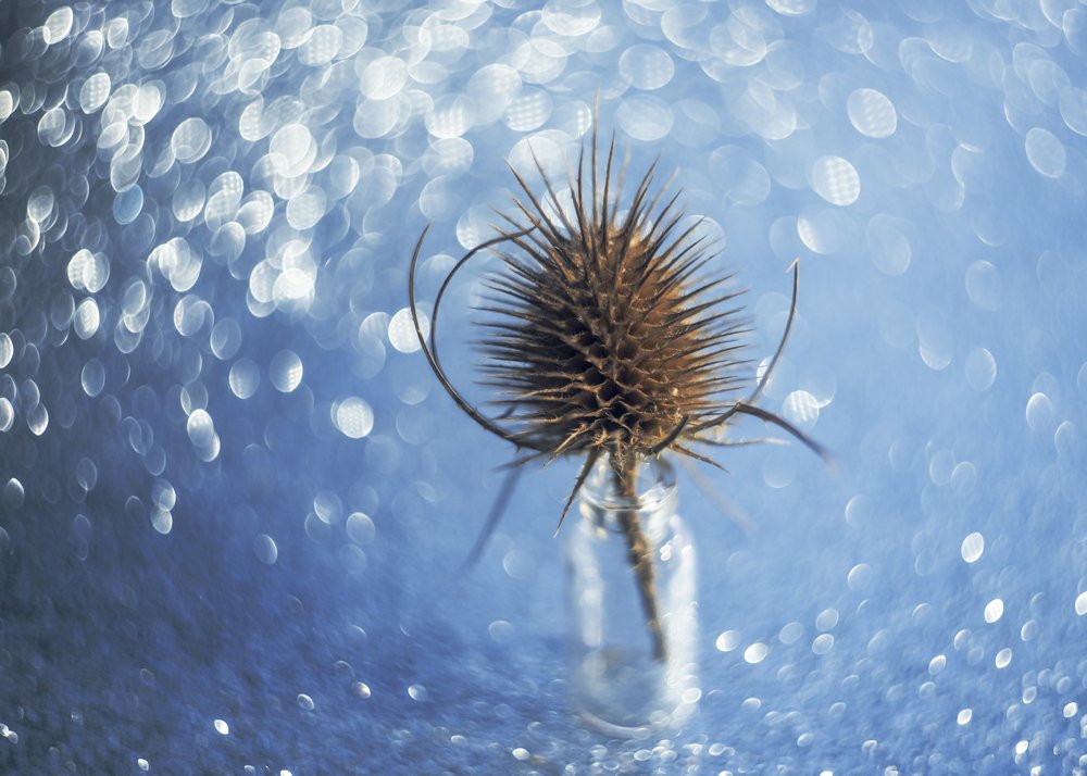 круговерть