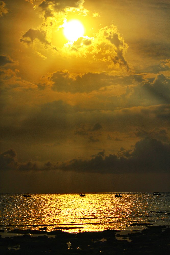 Low tide, first dock.