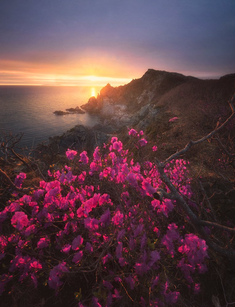Последний лучик осветил..