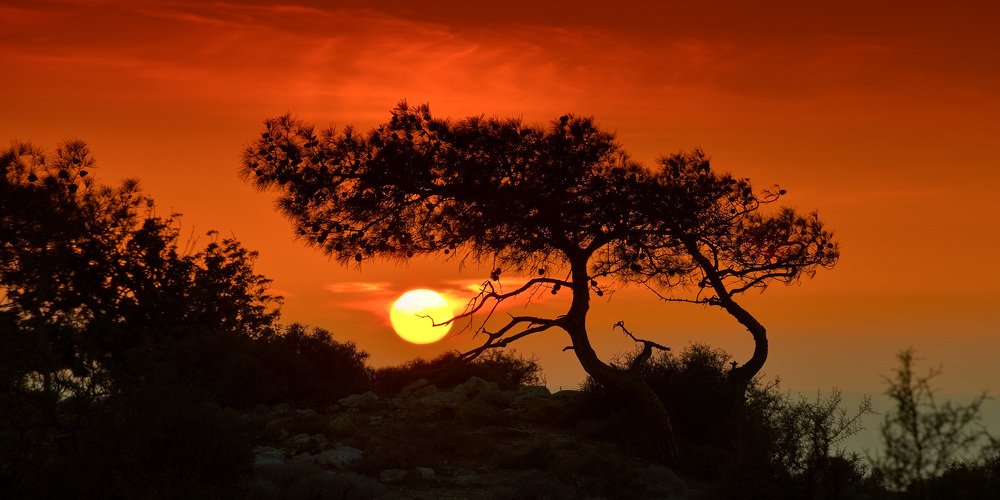 Не уходи, постой...