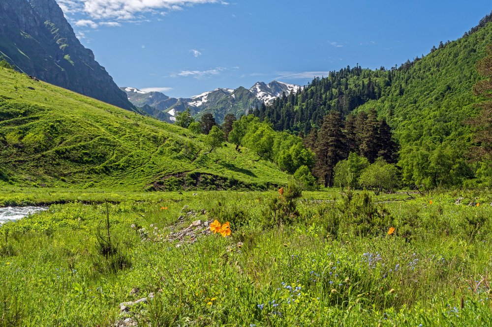 Photograph by Елена Ковалева