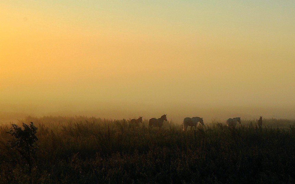сентябрьский рассвет