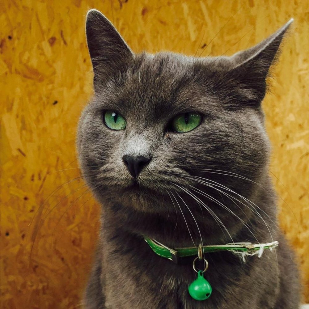 Photograph by Oleg Patrin