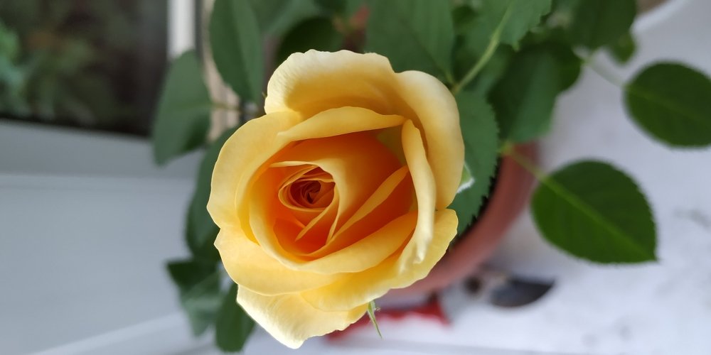 Photograph by Sofya Seredkina