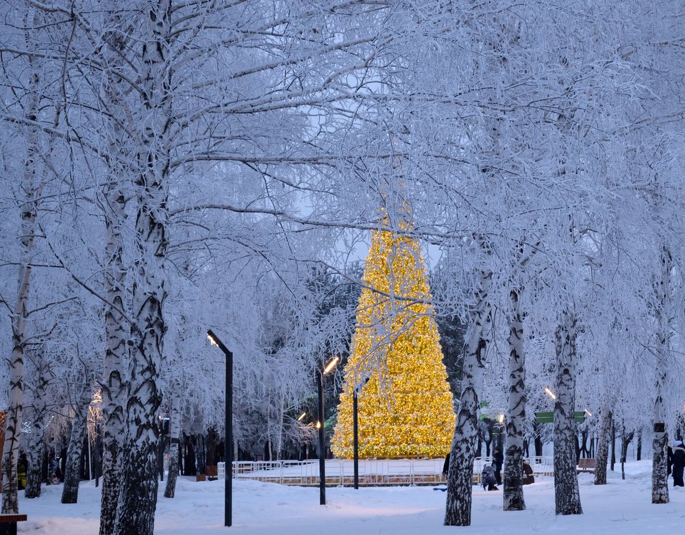 Photograph by Ирина Ященко