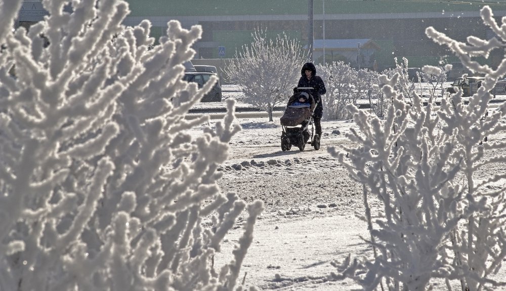 Морозным утром