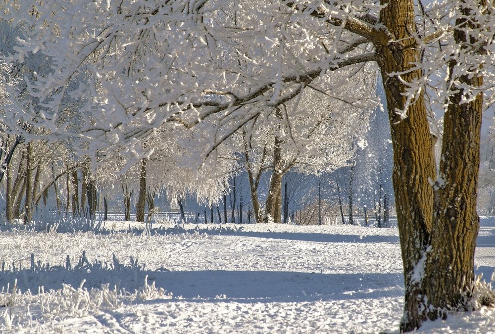 Зимняя сказка