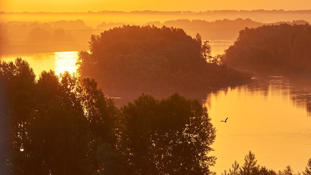 Photograph by Ольга Шибяева