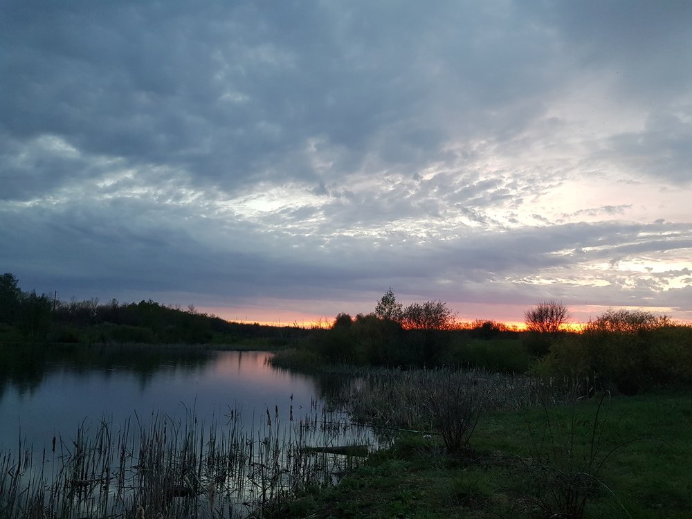 Photograph by Анастасия Логвинова