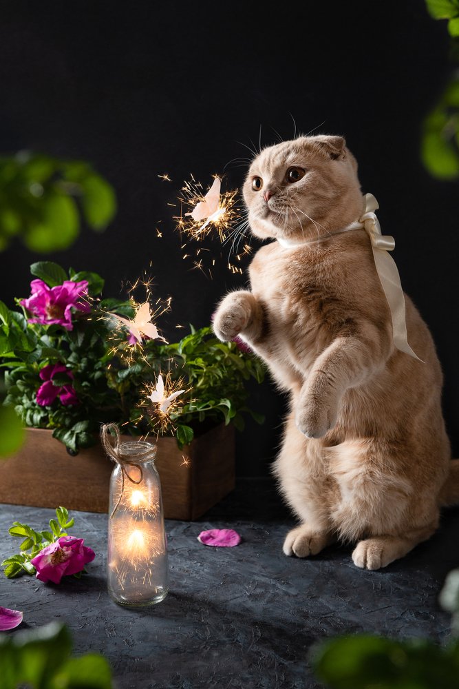 Ночной охотник