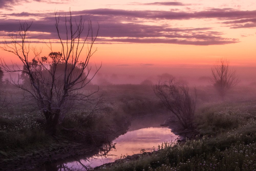 Photograph by Святослав Деревянкин