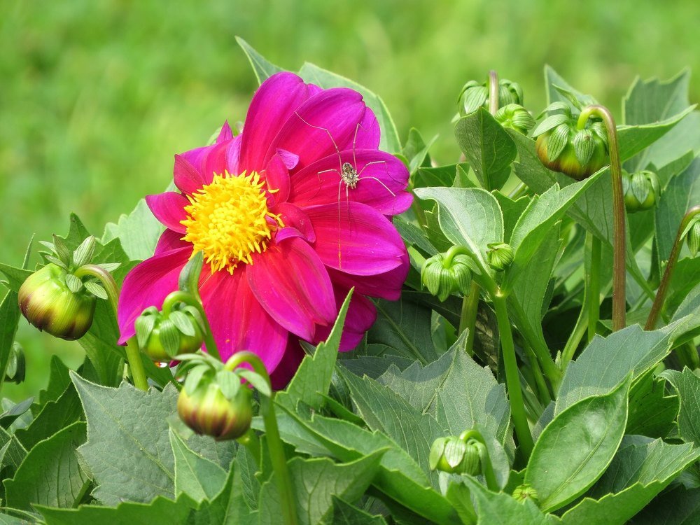 Photograph by Елена Лапина