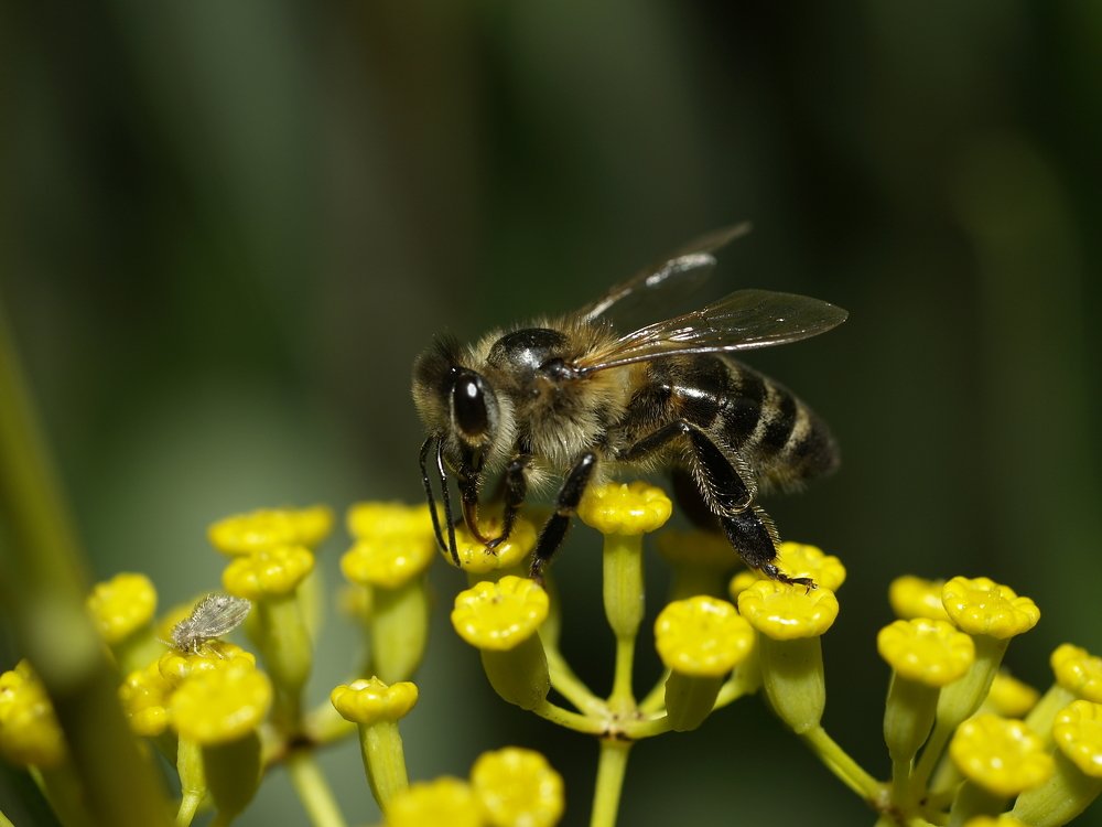 Photograph by Кирилл Лунченко