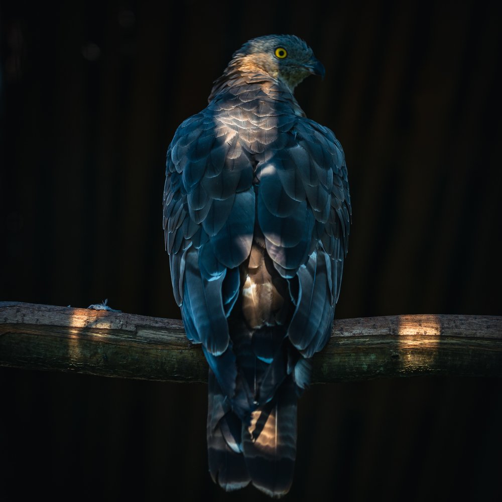 Photograph by Антон Малыгин