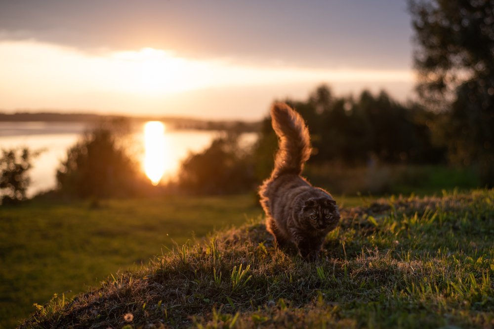 Photograph by Прокошева Екатерина