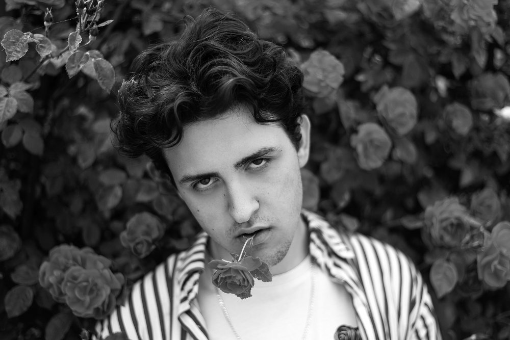 Портфолио, 2019