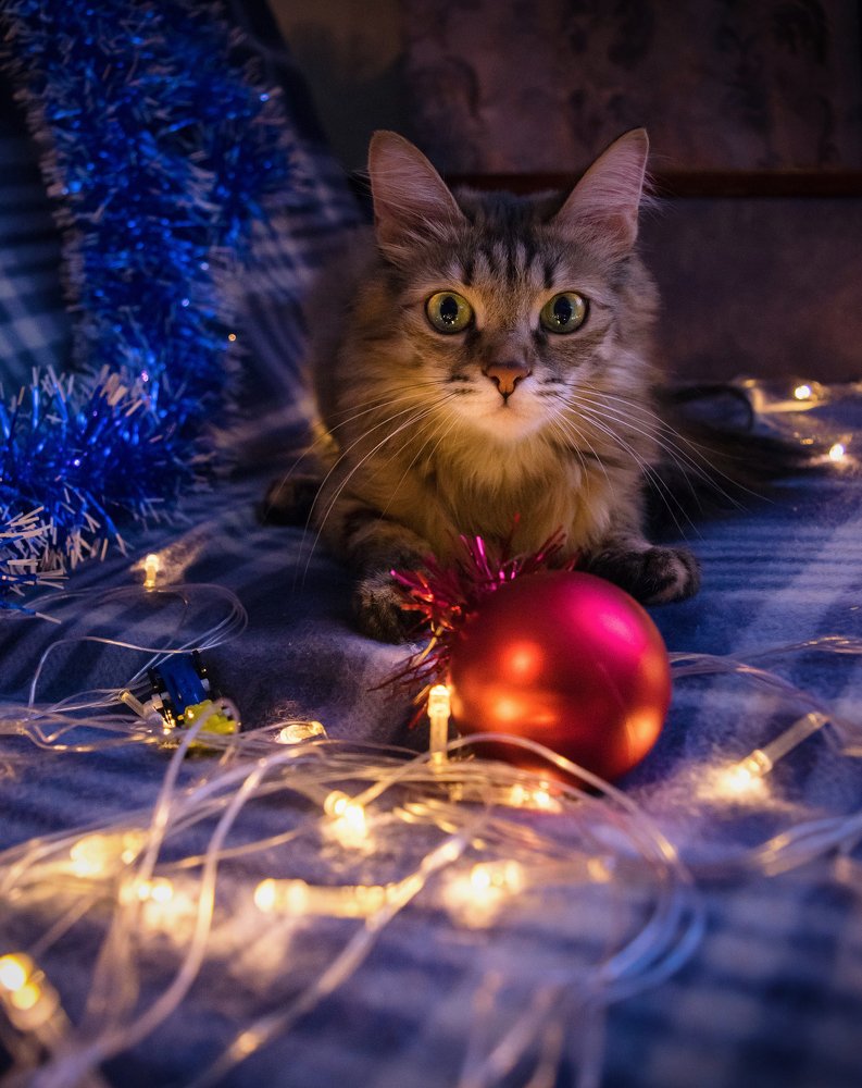 Новогоднее настроение