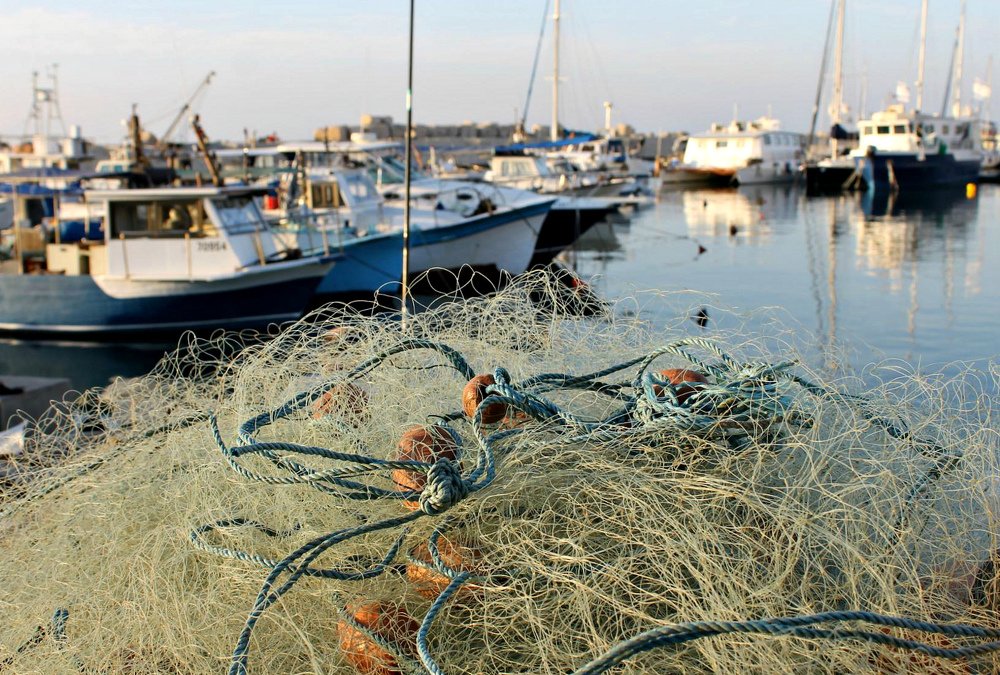 Photograph by Irina Radzinskaya