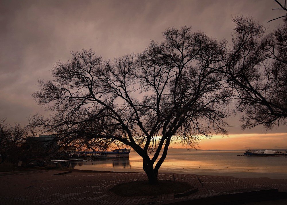 Вечер в Спортивной гавани