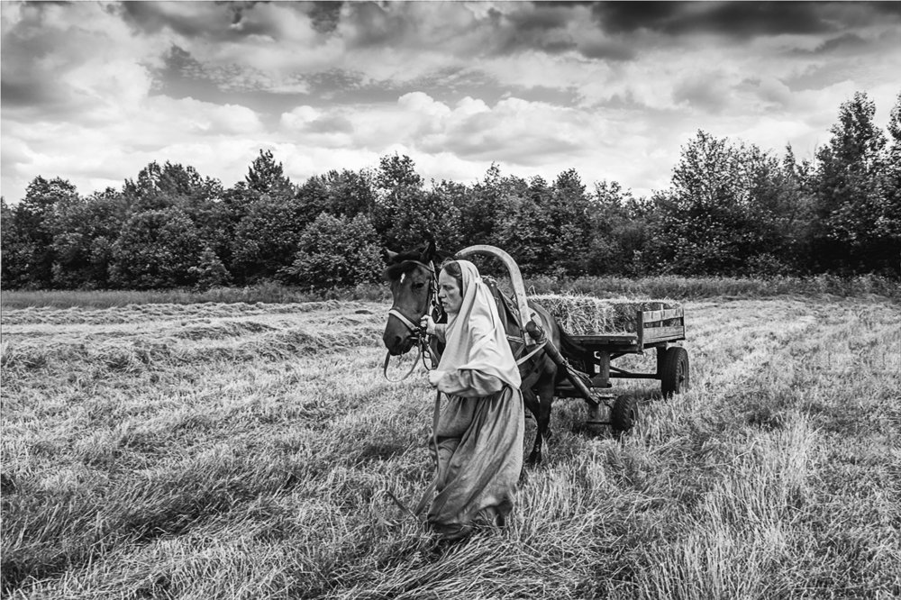 Photograph by Белова Лариса