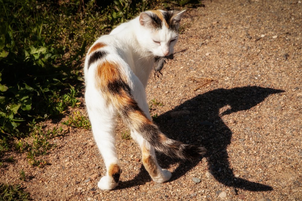 Photograph by Белова Лариса