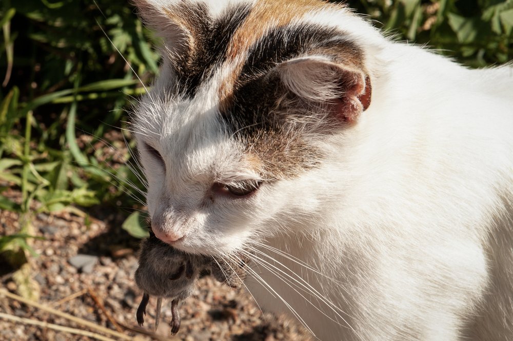 Photograph by Белова Лариса