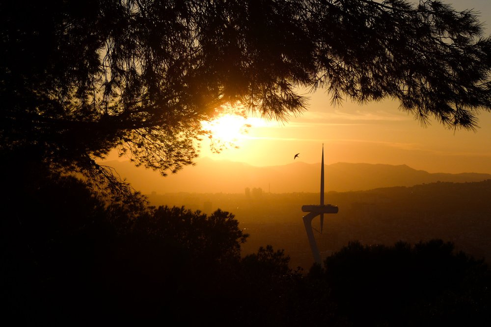 Sunset over the 1992 Olympics' communications tower