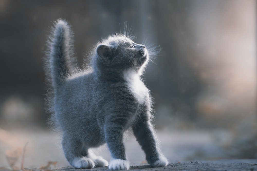 Photograph by Оксана Ильченко