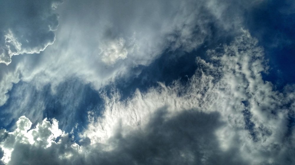 Art of Nature