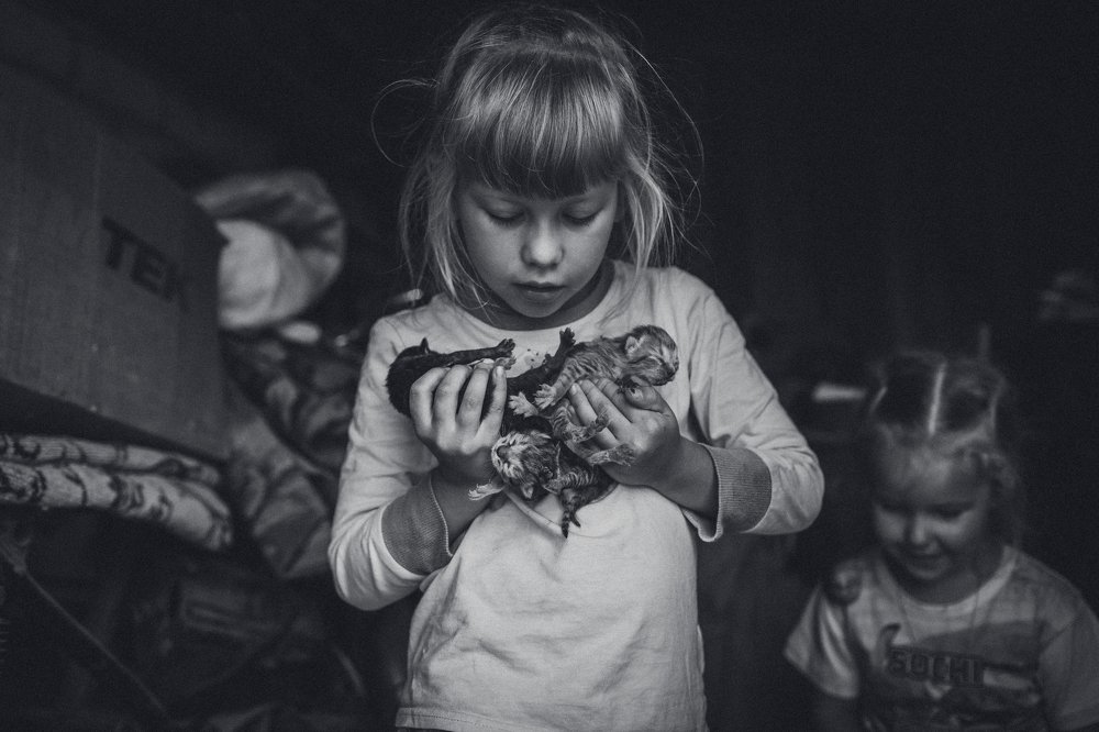 Photograph by Наталья Головенько