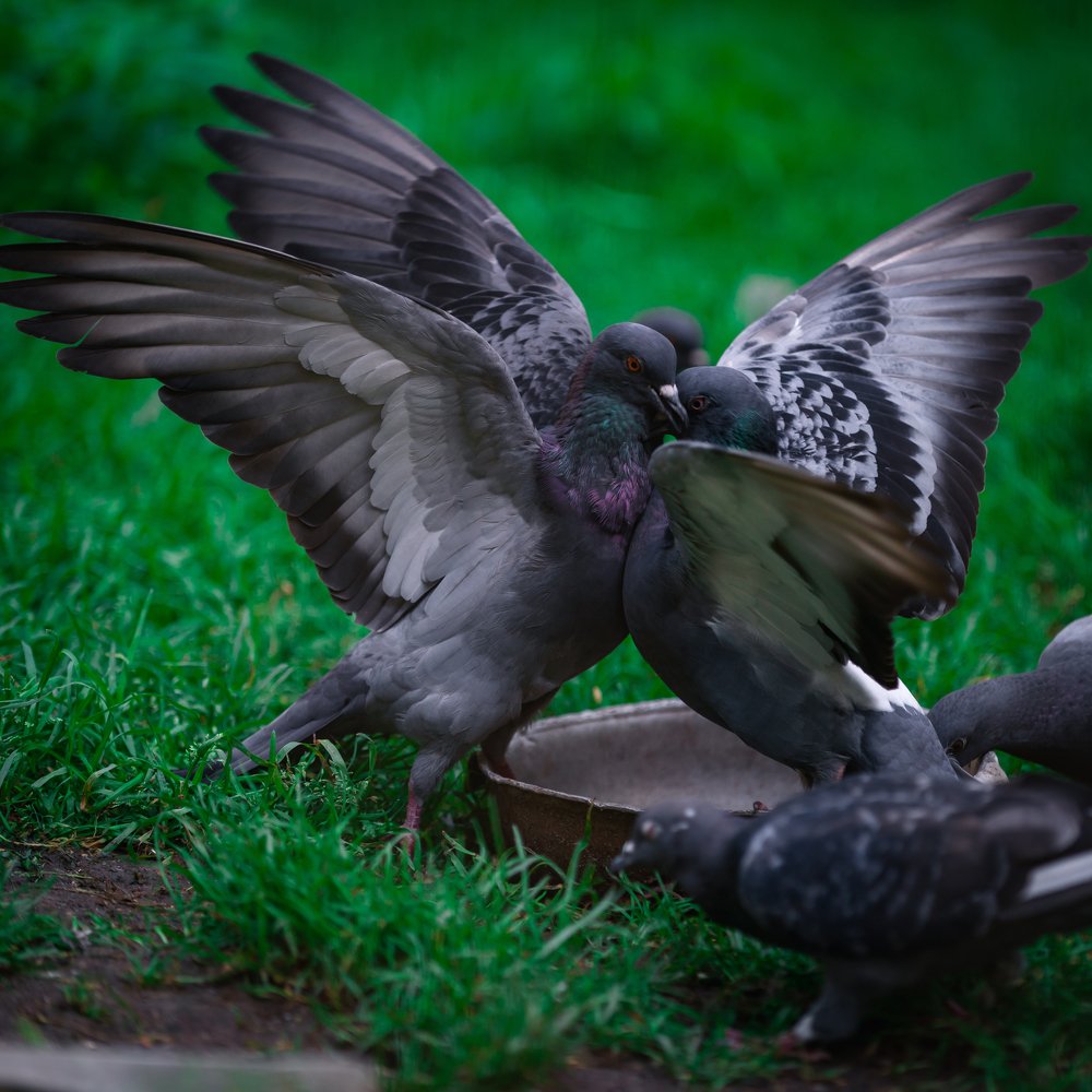 Photograph by Антон Малыгин