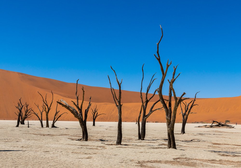 Photograph by Terebilov Andrey