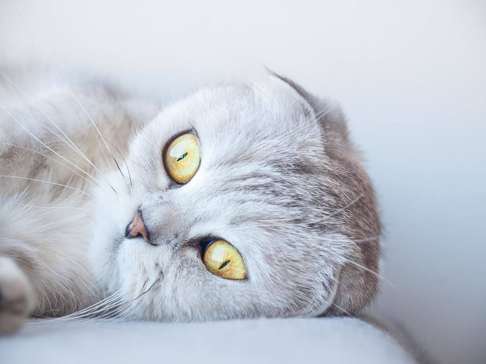 Photograph by Миленькая Наталья