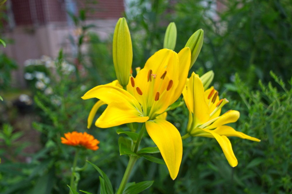 Photograph by Сергей Трофимов