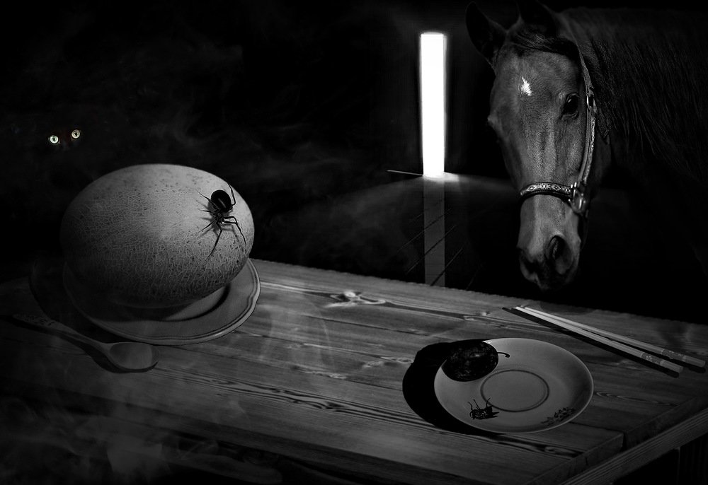 Фотография автора Анатолий Мироненко