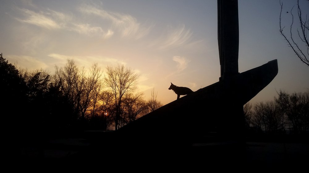 Photograph by Марина Рафаелян