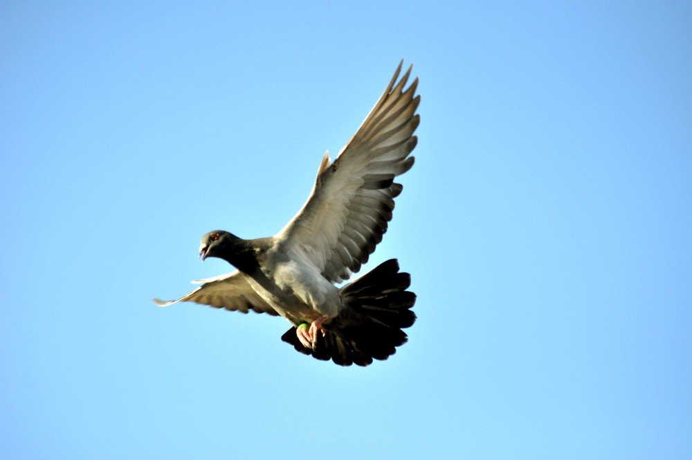 Photograph by علي الساعدي