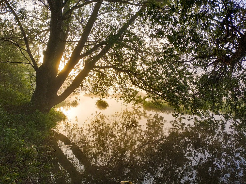 Рассвет на реке Десна