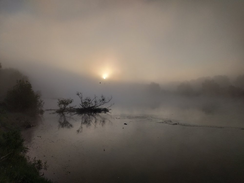 -"а так похож на лося"