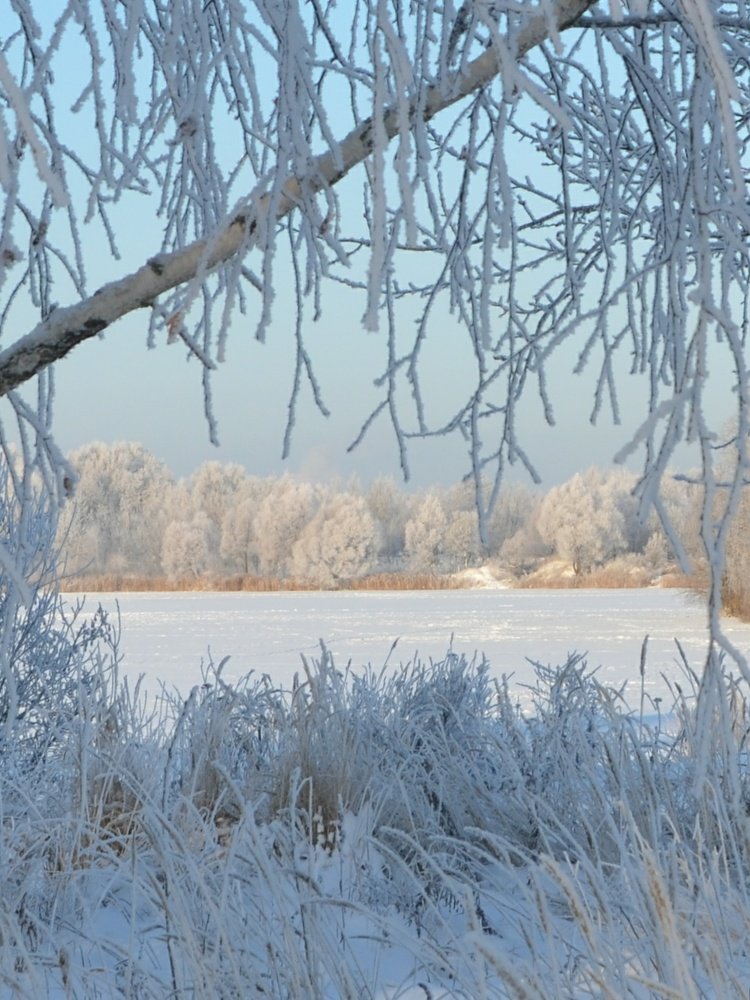Морозное утро.