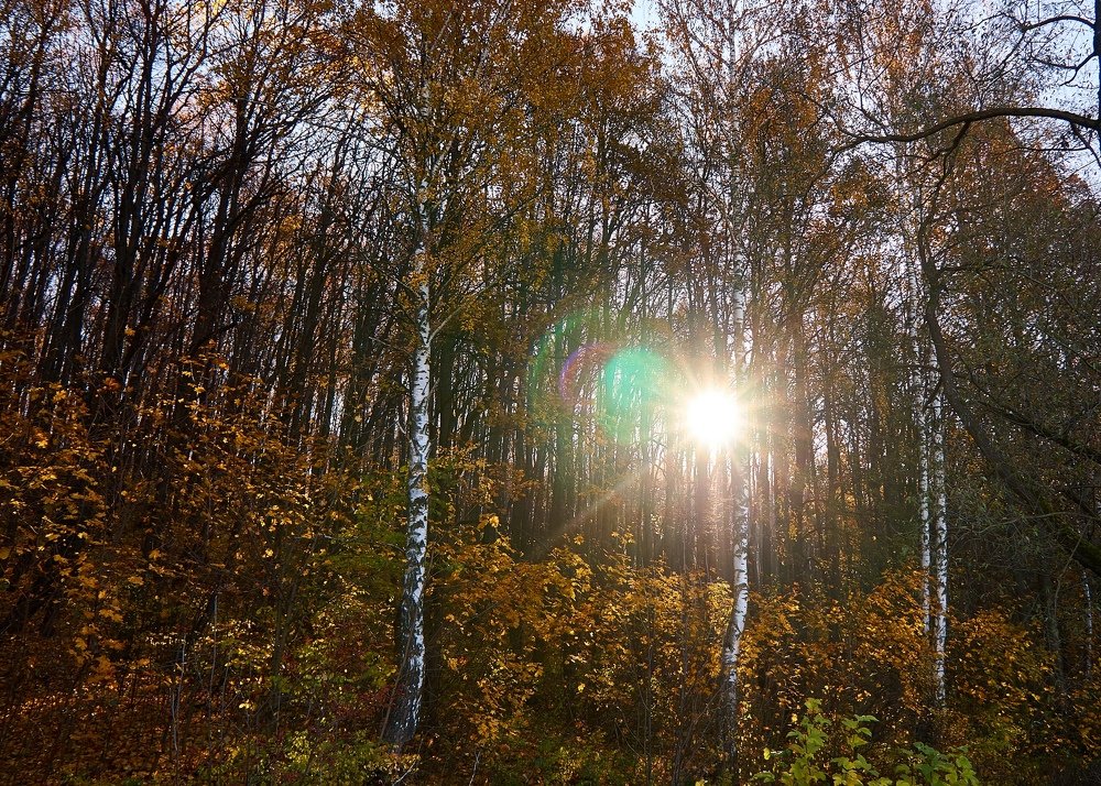 Восход осенью