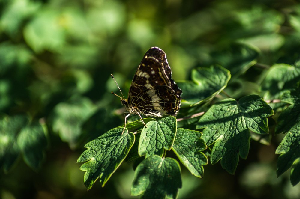 Photograph by Наталья