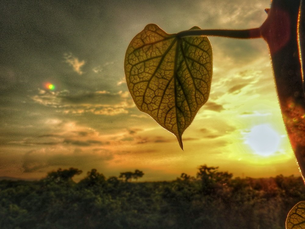 In search of dream home..!