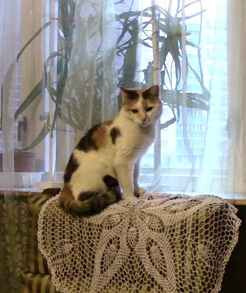 Красивая я.