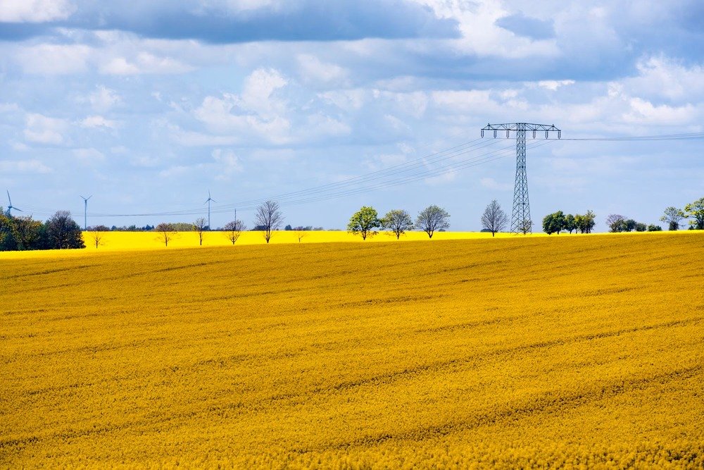 Photograph by Helen Mountaniol